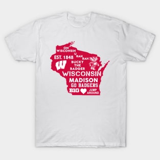 University of Wisconsin-Madison T-Shirt